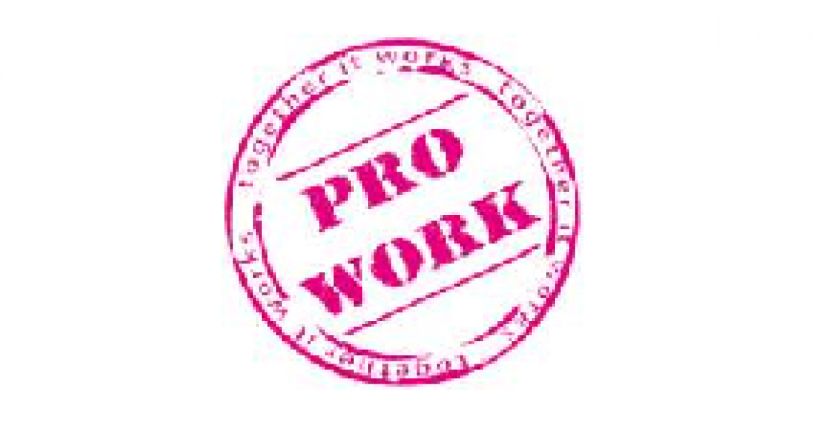 PRO WORK logo