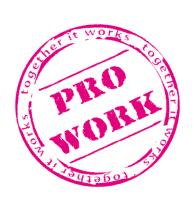 Stichting Kenniscentrum Pro Work logo