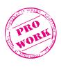 Stichting Kenniscentrum Pro Work logo